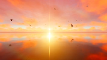 镜面湖水海水天鹅海鸥01