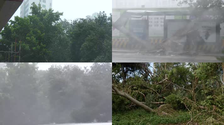 【4K】台风登陆树木房屋刮起