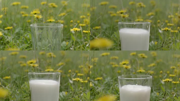 牛奶 倒奶 奶 广告 奶粉 