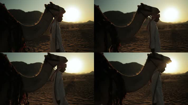 沙漠骆驼，阿拉伯，伊斯兰国家伊斯兰教