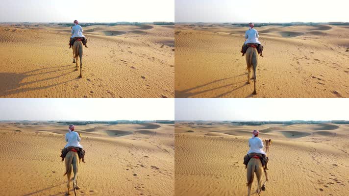 沙漠行走，阿拉伯伊斯兰国家伊斯兰教骑骆驼