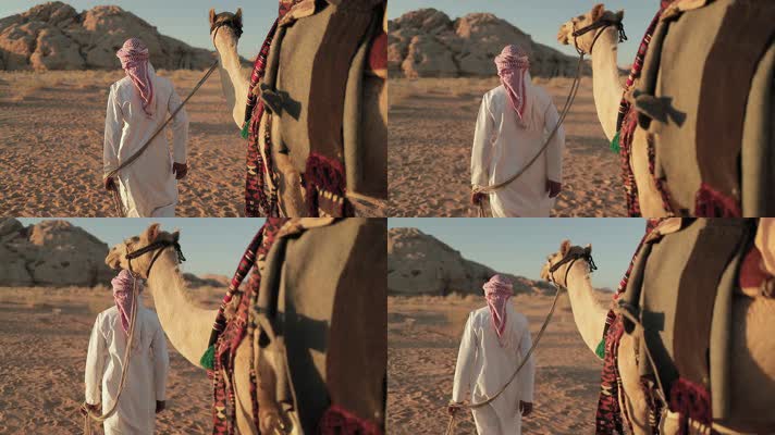 沙漠行走，阿拉伯，伊斯兰国家伊斯兰教
