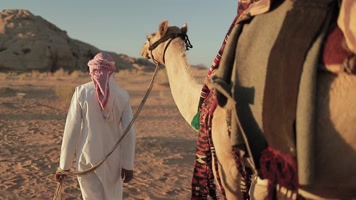 沙漠行走，阿拉伯，伊斯兰国家伊斯兰教