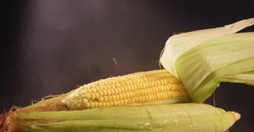 玉米4K