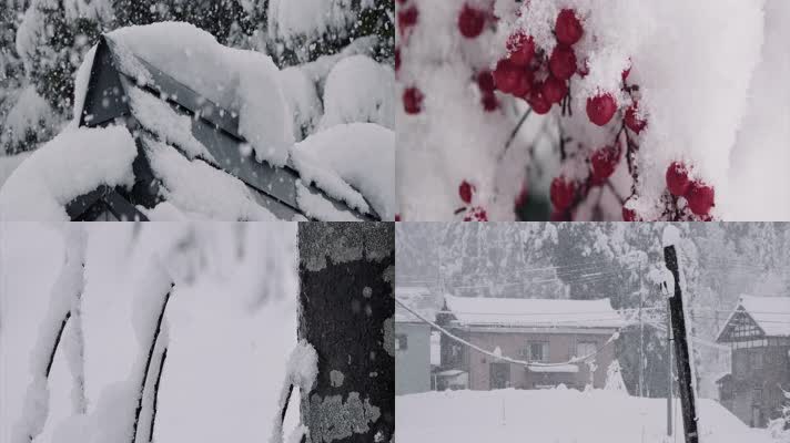 唯美雪景，白雪飘雪，冬天下雪