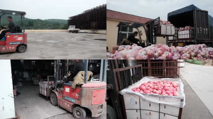 苹果果品仓储仓库冷库叉车整箱装车运输 苹果果品仓储仓库冷库叉车整箱装车运输