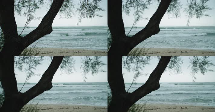 海边大树空镜头，海边风浪