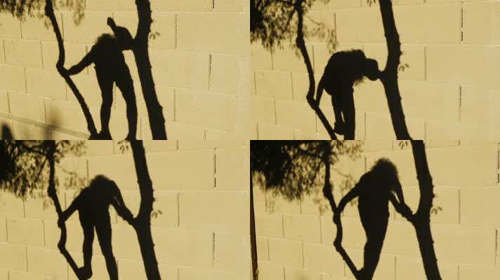 小孩爬树，童年生活