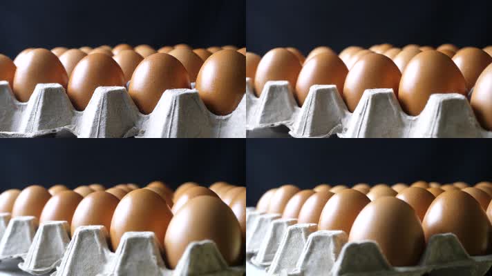 土鸡蛋、蛋鸡场
