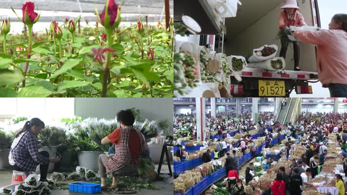 昆明花卉交易市场
