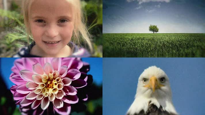 人物大自然快剪