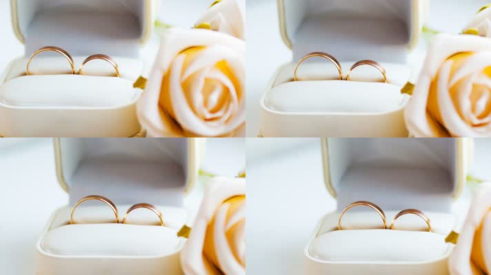 婚礼戒指，婚纱浪漫玫瑰