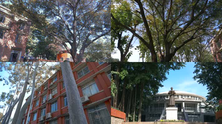 华农校园风景风光4k视频素材