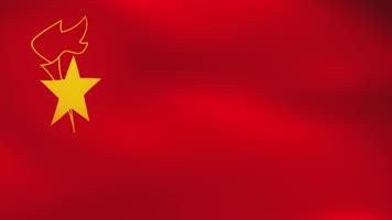 6段旗帜视频素材