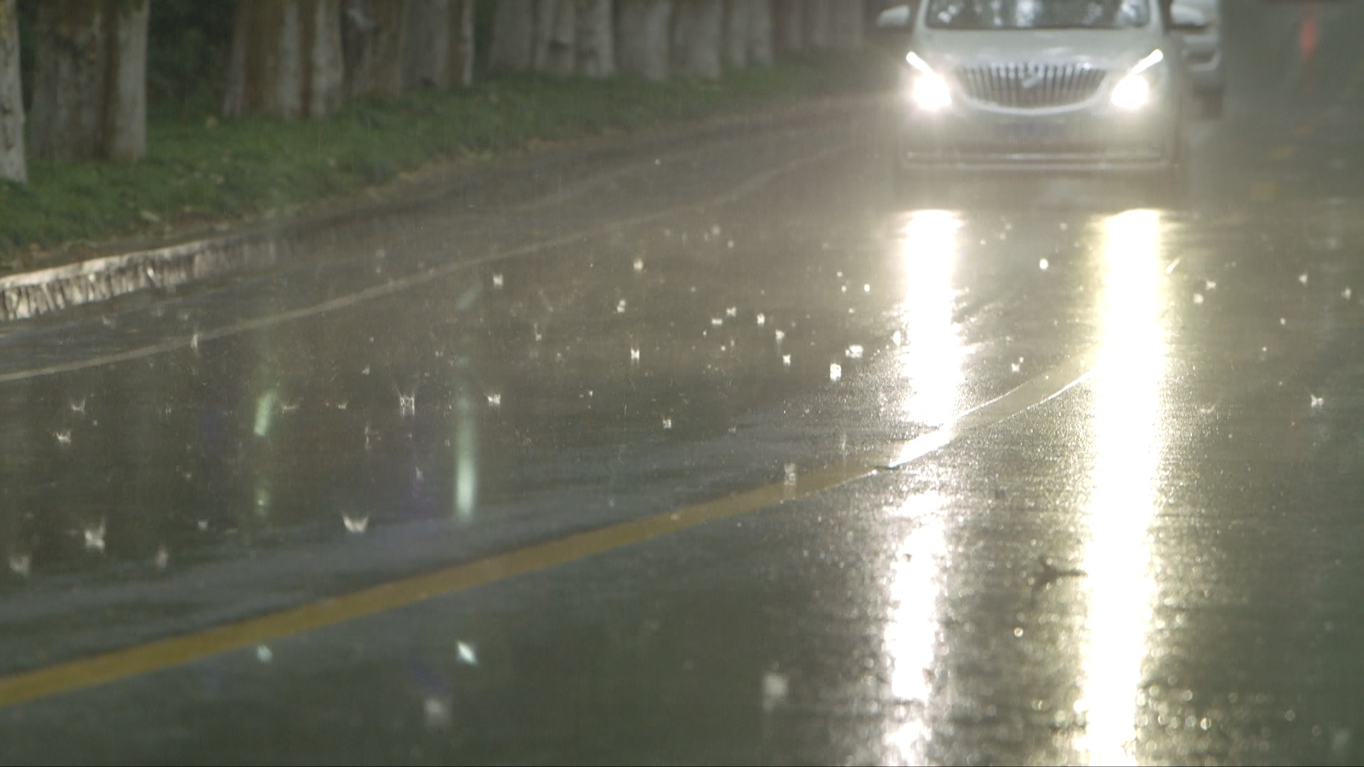 暴雨下雨天雨天道路中山陵林荫道下雨视频素材 延时摄影视频素材下载 高清19x1080视频素材下载 凌点视频素材网 编号