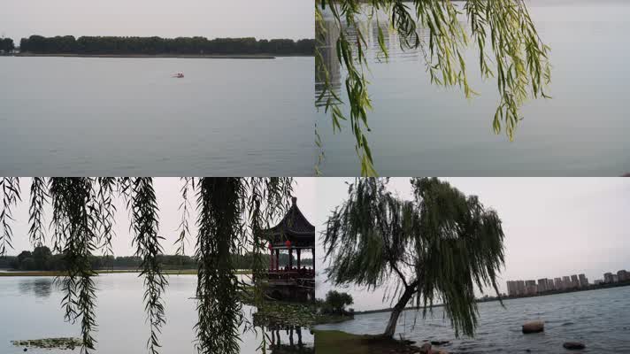 4K原创视频平静湖面上游船湖边垂柳