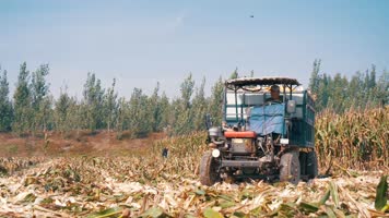【4k原创】秋季农业丰收收割机农民视频