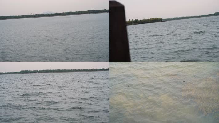 4K原创视频大风天气的湖面湖中碗莲调色版