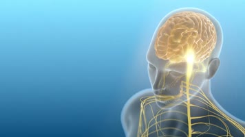 大脑发性硬化症三维动画 