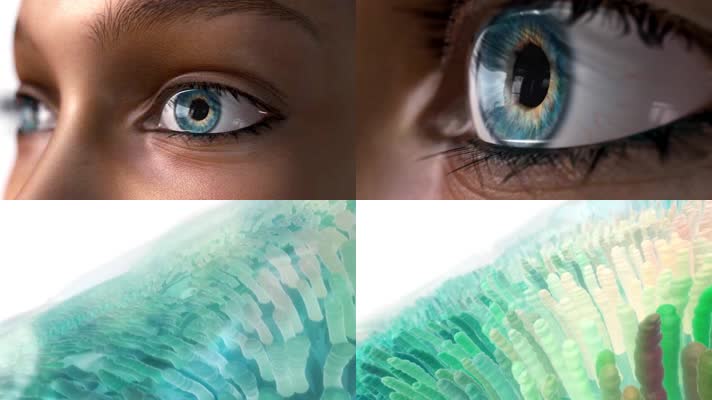 眼部干涩 干眼症动画