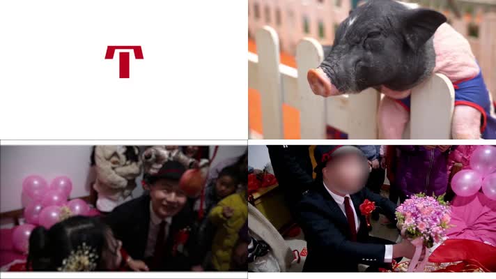 原创快闪婚礼开场AE模板