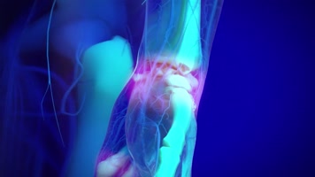 人体免疫系统 人体免疫系统