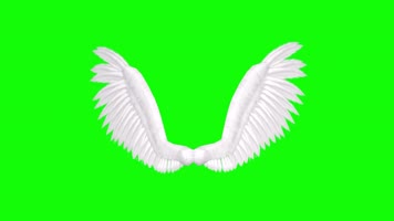 抠像白色天使翅膀扇动合成素材