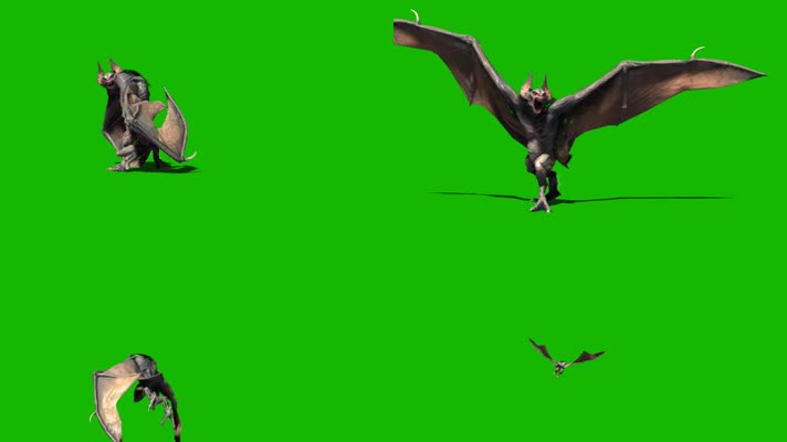 抖音抠像大蝙蝠动物特效合成素材