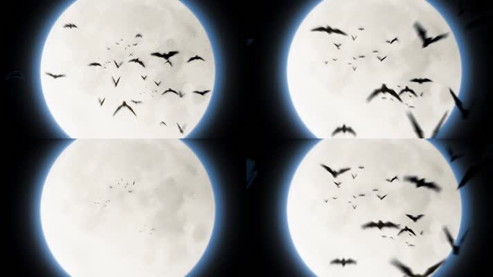【无缝循环】月亮上蝙蝠冲屏