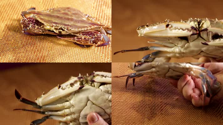 蟹 螃蟹 梭子蟹 海蟹 活蟹 饭店 饭馆 小吃 