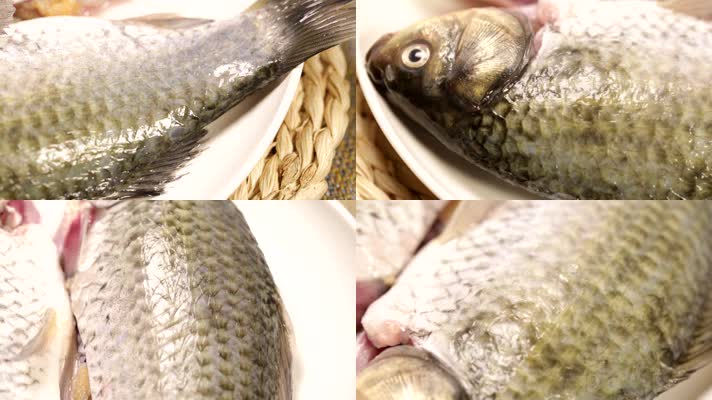 食品 食材 美食 鱼 鲫鱼 鱼肉 草鱼 水产 海