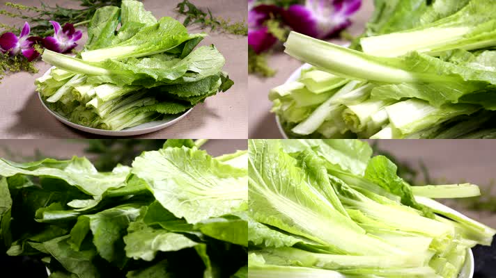 食品 食材 美食 蔬菜 生菜 白菜 绿叶 叶绿