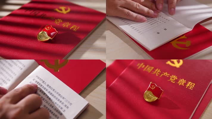 党徽党章党员学习中国共产党章程4k视频