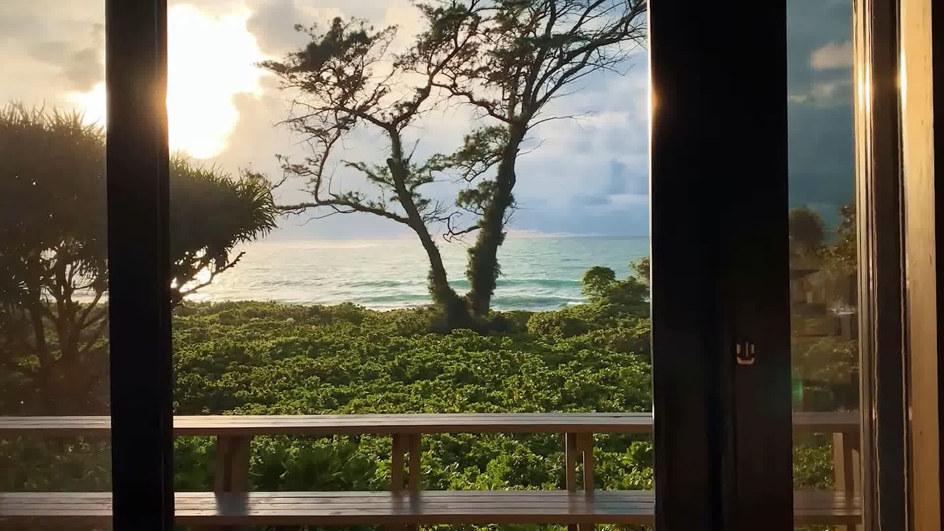 唯美海邊風景自由愜意大海海邊沙灘海灘視頻素材