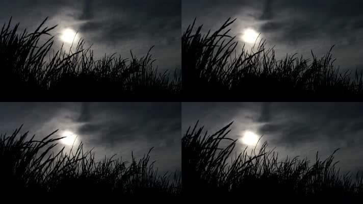 月黑风高，小草月亮，逆光剪影 (2)