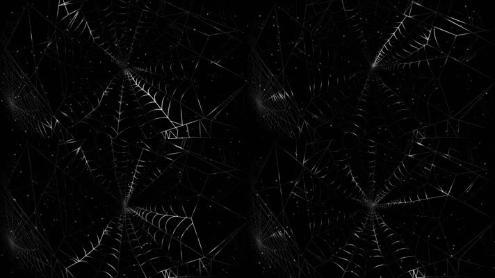 蜘蛛网 (2)