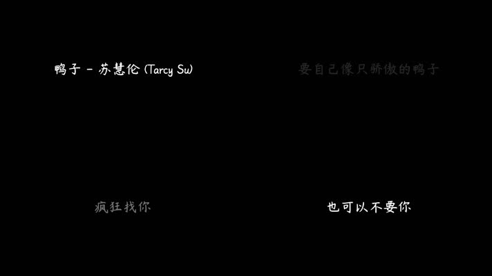 苏慧伦 - 鸭子（1080P）