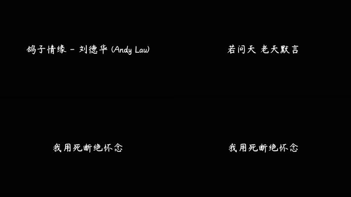 刘德华 - 鸽子情缘（4K）