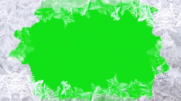 绿幕视频素材冰冻冰花