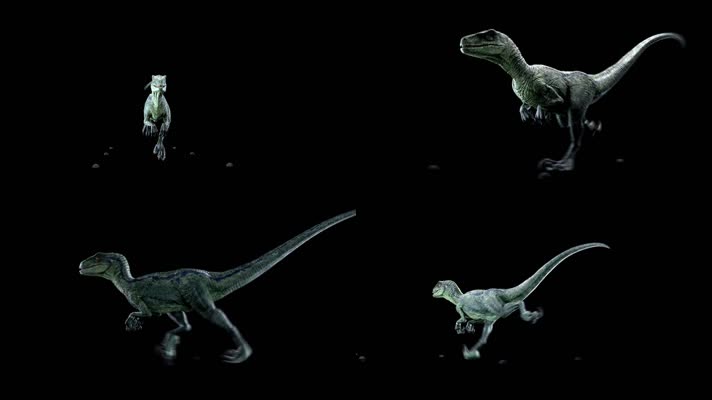 透明通道恐龙奔跑