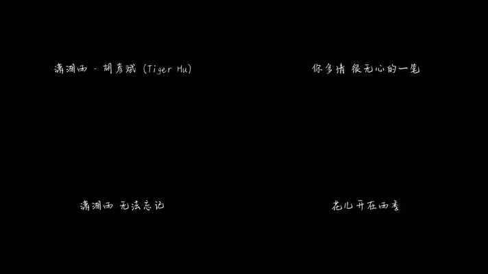 潇湘雨 - 胡彦斌（1080P）