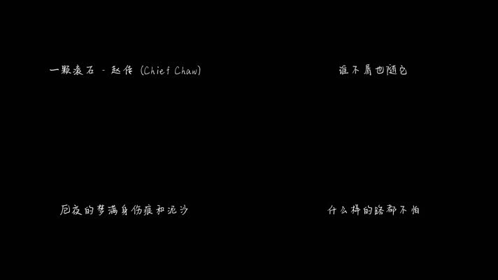 赵传 - 一颗滚石（1080P）