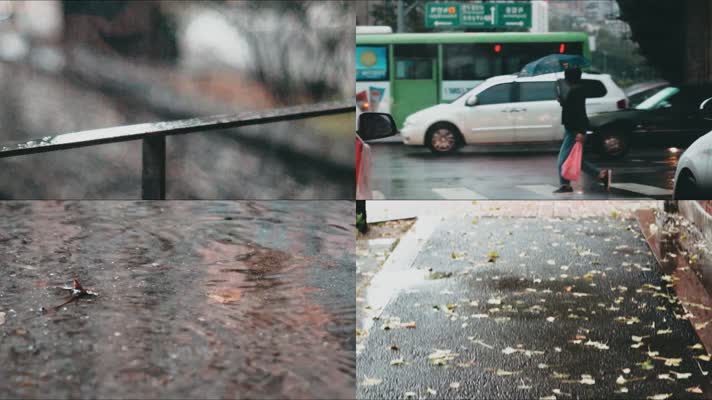 城市雨景，雨伞，交通，植物