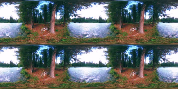 森林 风光 VR360 