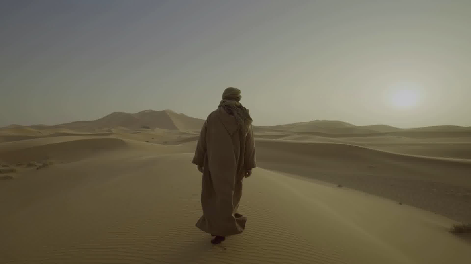 沙漠行走，阿拉伯，伊斯兰国家伊斯兰教