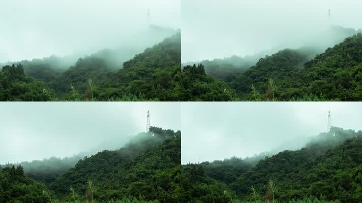 4k高清山间树林雾气壮观风景
