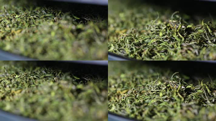 特写茶叶 绿茶 生茶叶 生产 加工 