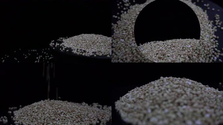 4K原创视频五谷杂粮之荞麦米特写荞麦粒