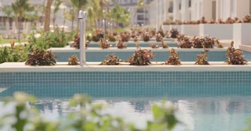 豪华的富人住宅 