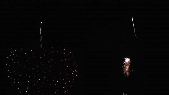 一朵绽放的烟花